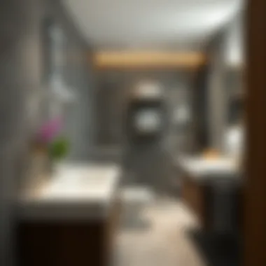 Functional storage solution in a stylish restroom