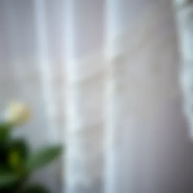 Close-up of intricate lace detailing on sheer fabric