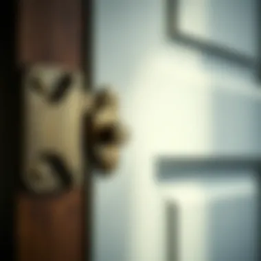 A close-up of a door hinge indicating condition and quality