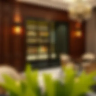 Elegant Glass Bar Door for Interiors Glass bar door enhancing interior aesthetics