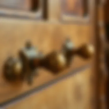 Antique Charm with Brass Accents Close-up of decorative brass handles on antique furniture