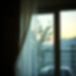 A decorative curtain adhering to a window