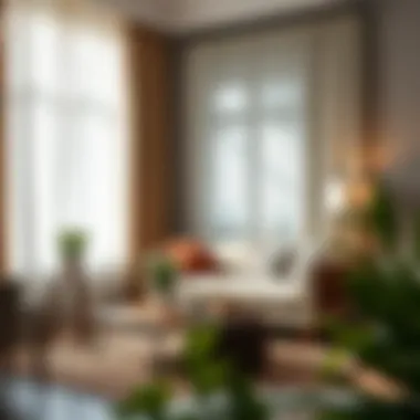 Practical tips for using window curtains