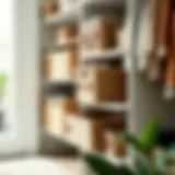 Stylish Baskets for Closet Organization Elegant closet organization with stylish baskets