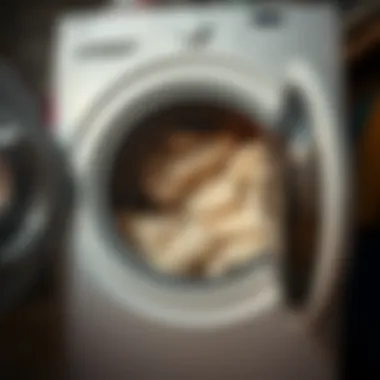 Lint buildup in dryer filter