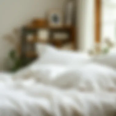 Care Tips for Maintaining Cotton Bedding Care tips for maintaining cotton bedding longevity