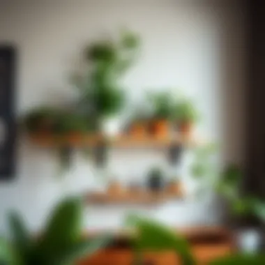 Innovative Plant Arrangement Ideas Creative arrangement of different plants on a wall shelf