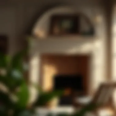 Various styles of decorative fireplace frames in interior settings