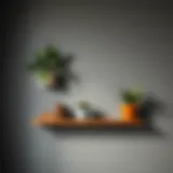 Stylish Wall Shelf Decor Decorative wall shelf with plants