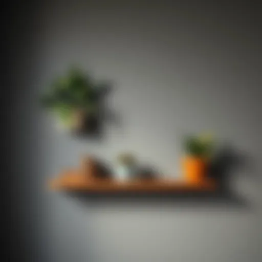 Stylish Wall Shelf Decor Decorative wall shelf with plants