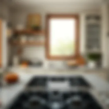 A beautifully arranged kitchen featuring a nine-burner stove