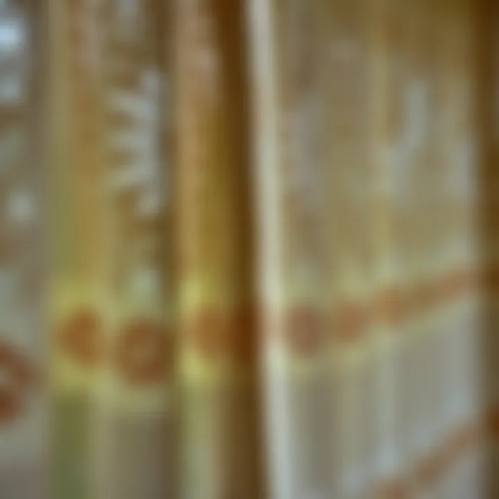 Close-up of intricate patterns on sheer curtains