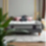 Elegant double sponge mattress showcasing comfort and style