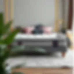 Elegant double sponge mattress showcasing comfort and style