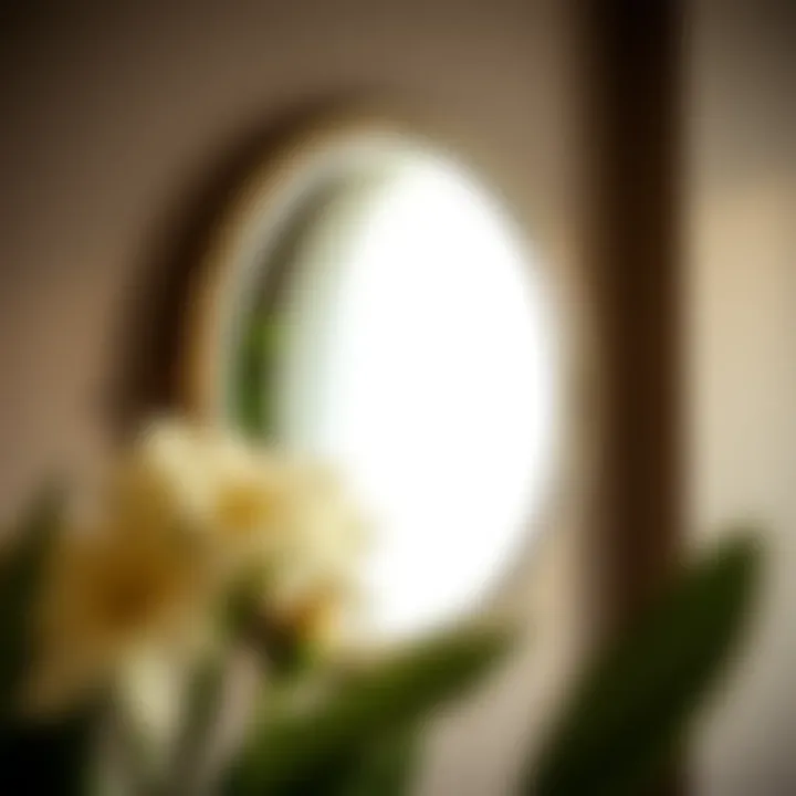 Elegant wall-mounted mirror reflecting ambient light