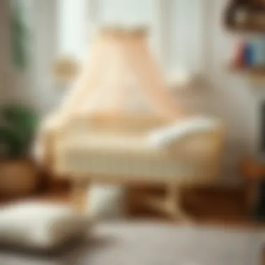 Chic Bassinet Featuring Soft and Comfortable Bedding Elegant bassinet with soft bedding