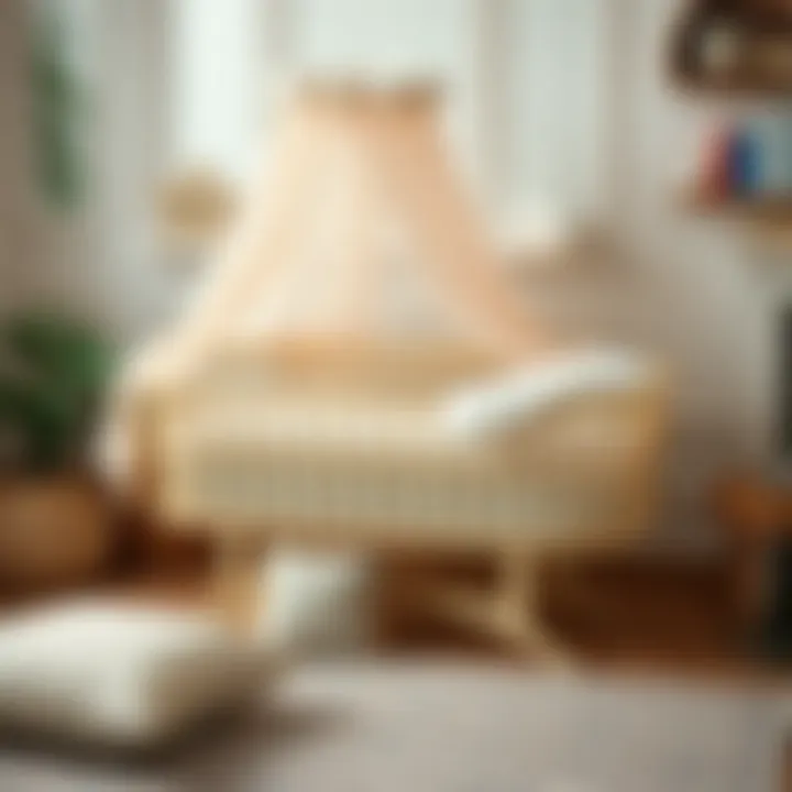 Chic Bassinet Featuring Soft and Comfortable Bedding Elegant bassinet with soft bedding