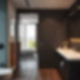 Elegant mirrored bathroom door with modern design