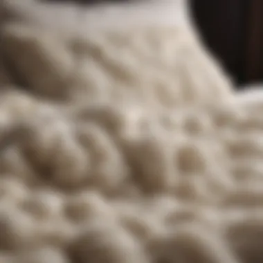 Quality Wool Fibers of Elenore Duvets Close-up of Elenore wool fibers showcasing quality