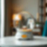 Elegant empty snow globe showcasing creative interior decor ideas