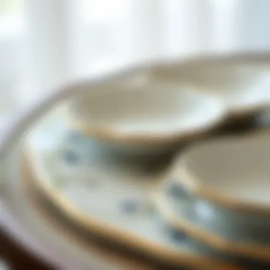 Close-up view of fine china material used in round dinnerware