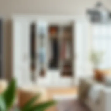 Chic Arrangements for Enhanced Home Aesthetics Chic wardrobe arrangement enhancing home aesthetics