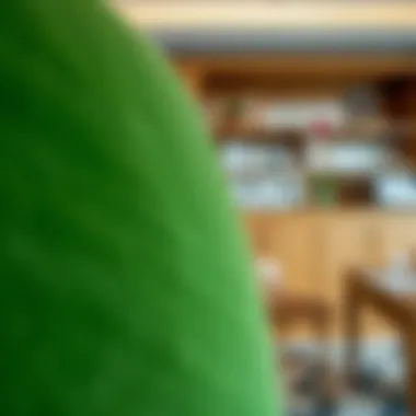 Close-up of lush green fabric showcasing texture and style