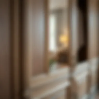 Close-up of intricate details in wardrobe design