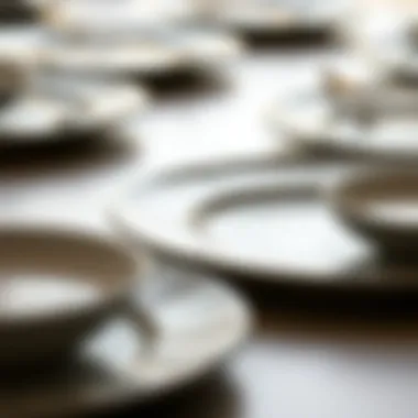 Material Quality of Karaca Dinner Plates Close-up view of Karaca dinner plates highlighting material quality