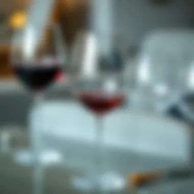 Maintaining the Quality of Your Wine Glass A beautifully maintained wine glass reflecting expert care