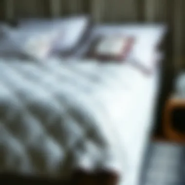 Elegant design of a double winter quilt showcasing fine materials