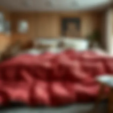 Stylish winter decor featuring a beautifully arranged double quilt