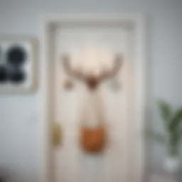 Stylish door-mounted coat rack enhancing modern home decor