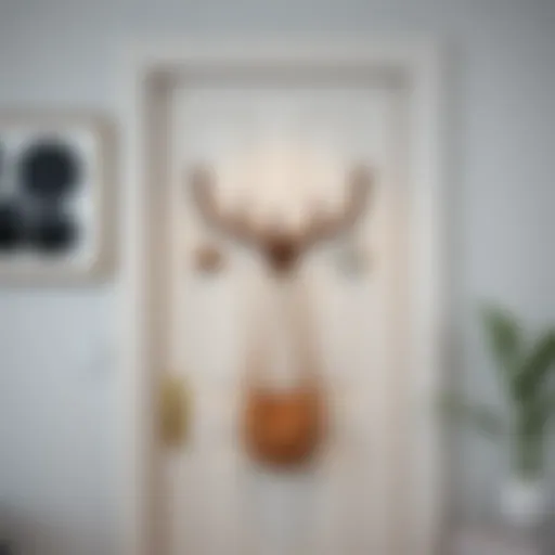 Stylish door-mounted coat rack enhancing modern home decor