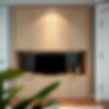 Innovative storage solutions with stylish door accessories