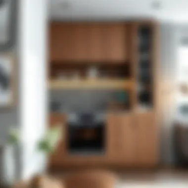 Trendy Koçtaş oven cabinet design in a contemporary setting