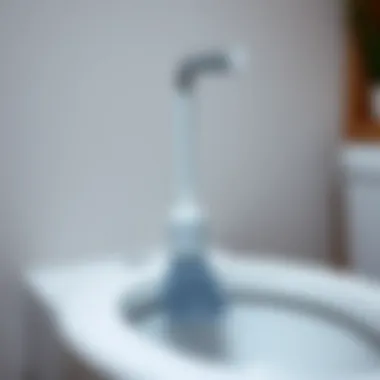 Maintaining a clean toilet brush