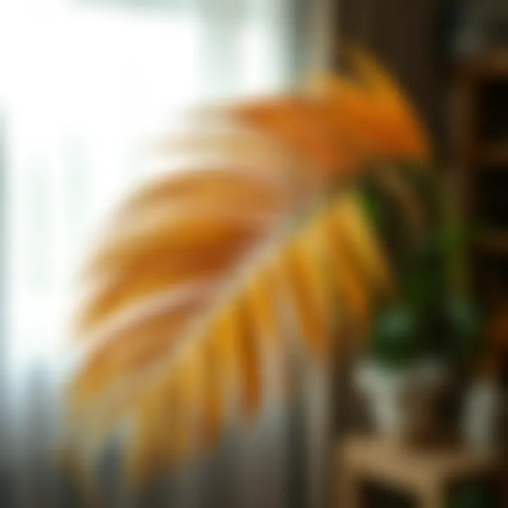 Elegant Use of Dried Palm Leaves in Home Decor Dried palm leaf used in interior decoration.