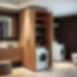 Elegant storage cabinet designed for dryer integration