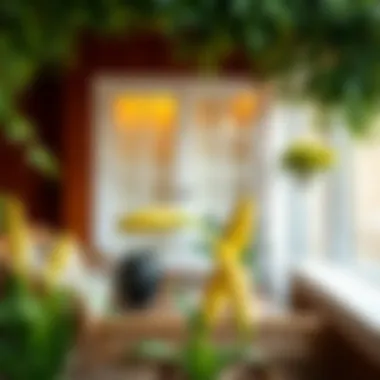 Creative Arrangement Ideas for Lilyums Outdoors Inspiration for arranging lilyums in outdoor spaces