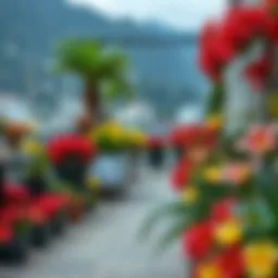 Lilyum terrace adorned with vibrant flowers