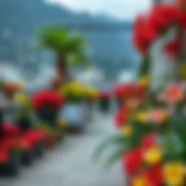 A Vibrant Display of Lilyums on the Terrace Lilyum terrace adorned with vibrant flowers