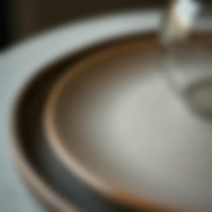 Artistry in Matte Dinnerware Close-up of matte dinnerware design