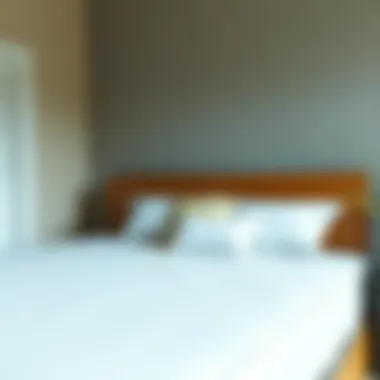 Instructions for maintaining waterproof mattress protector for longevity