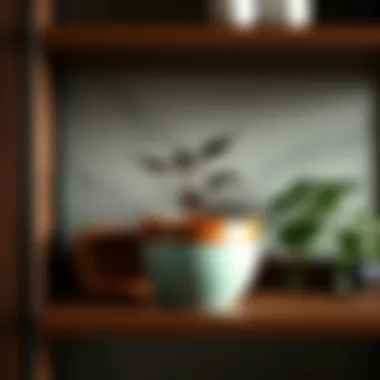 Elegant Medium Pot in Home Decor An elegant medium pot placed on a stylish shelf as part of home decor