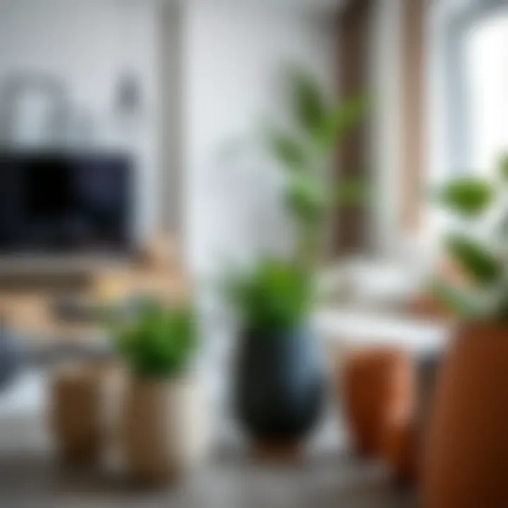 Medium Pots in Modern Living Room Setting Various medium pots displayed in a modern living room setting