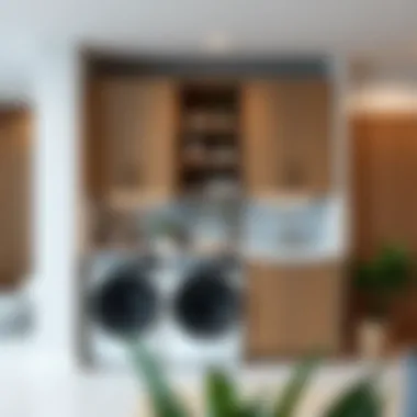 Integrating Modern Decor with Laundry Cabinets Modern decor integration with laundry cabinets