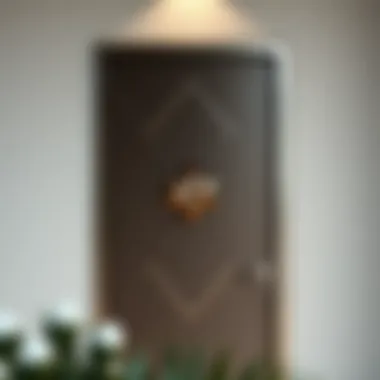 Sleek Geometric Door Embellishment Modern geometric door embellishment in metal