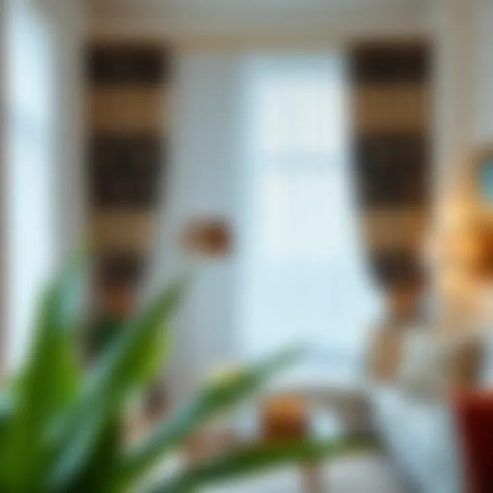 Maintenance Tips for Molinella Blackout Curtains Tips for maintaining Molinella blackout curtains for longevity