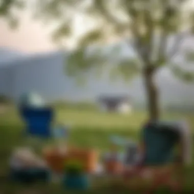 A serene picnic scene featuring foldable camping chairs